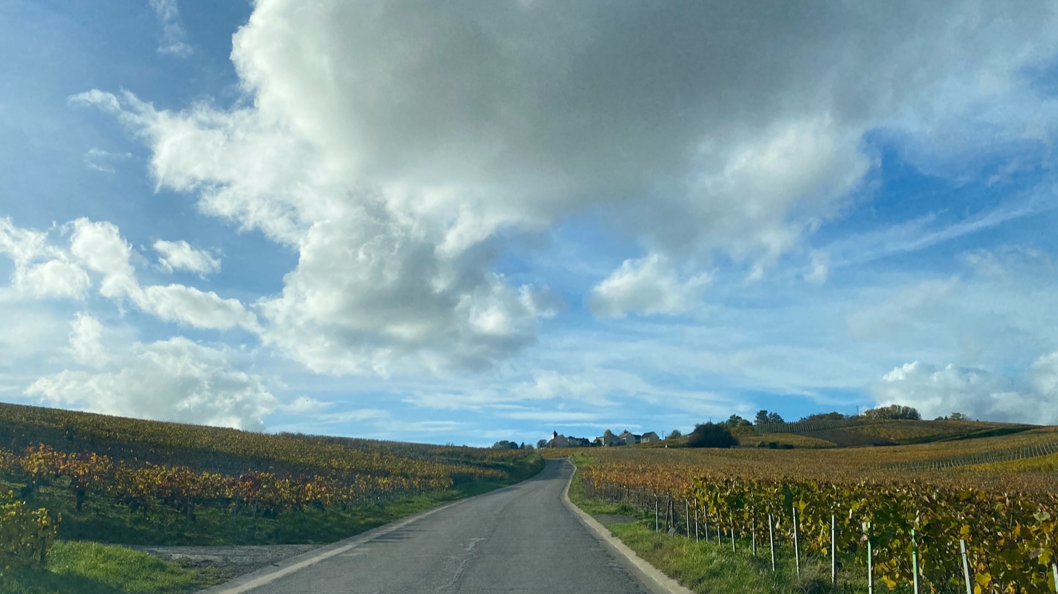 Road through Champagne vineyards near Epernay, France
