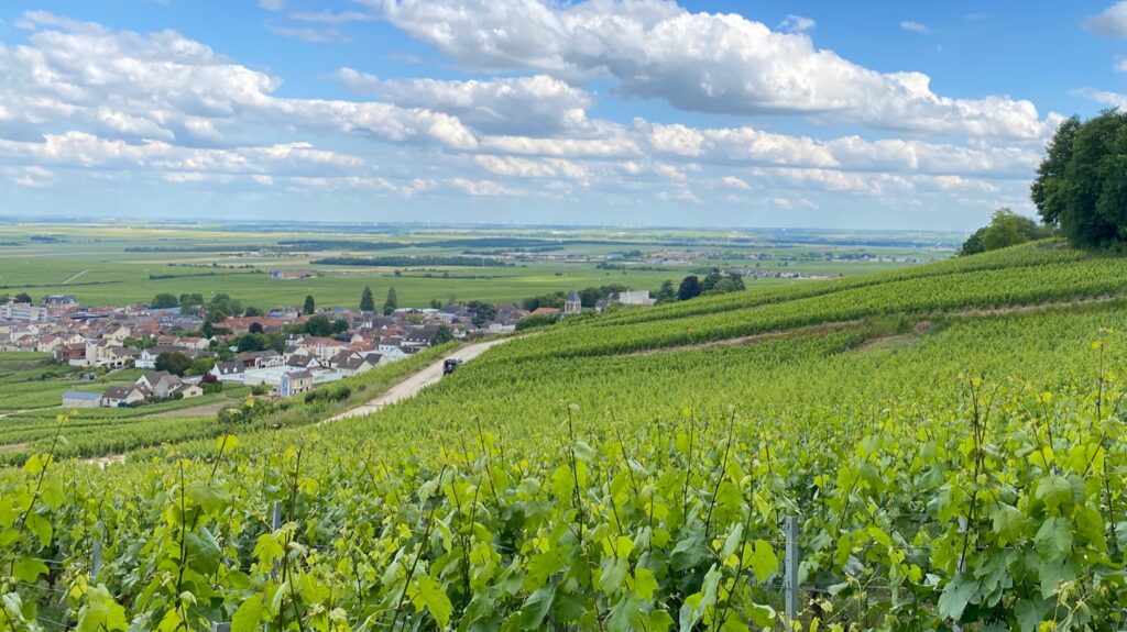 Vineyard slopes overlooking a Champagne village in the Côte des Blancs