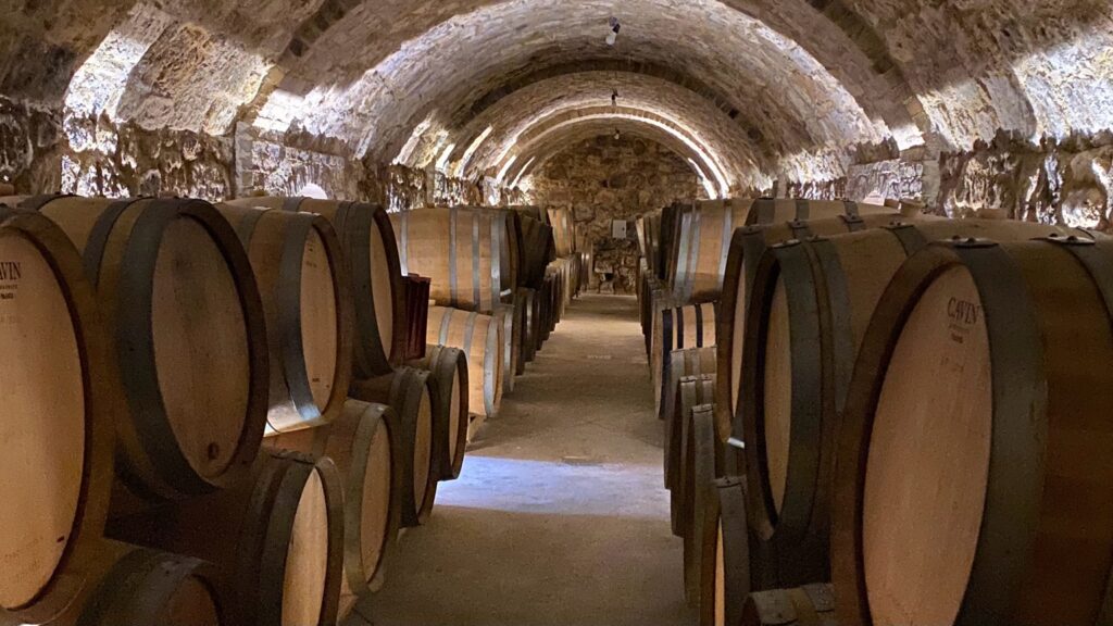 Oak barrels aging Champagne in a grower producer’s underground cellar in Champagne, France