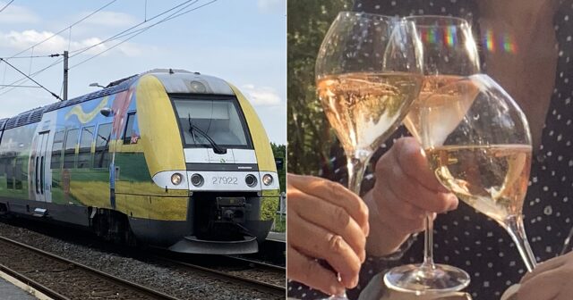 Train vs guided tour from Paris to Champagne