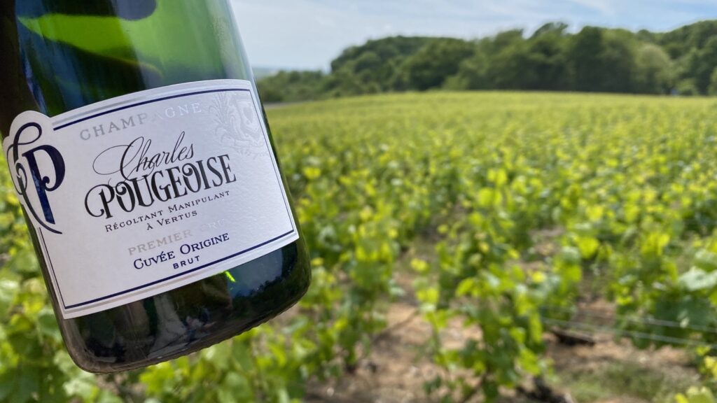 Champagne bottle in a vineyard during a local Champagne experience near Reims and Épernay